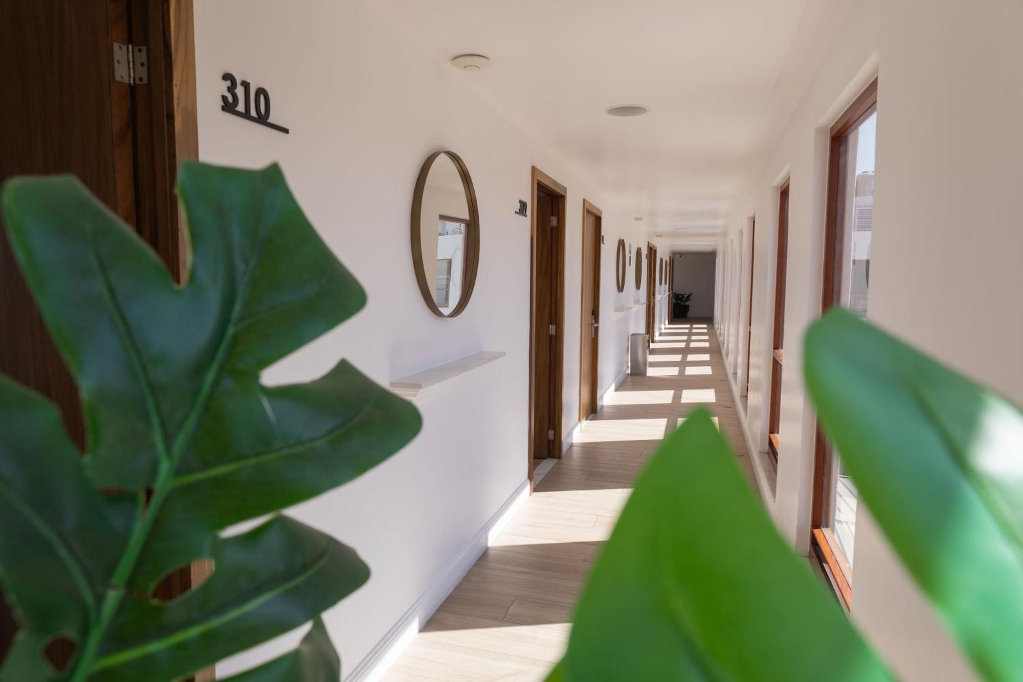 Six Hotel Guadalajara Degollado Dış mekan fotoğraf